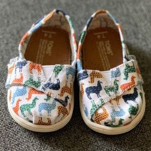 LLAMA BABY TOMS!